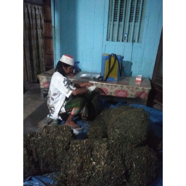 

daun sambiroto