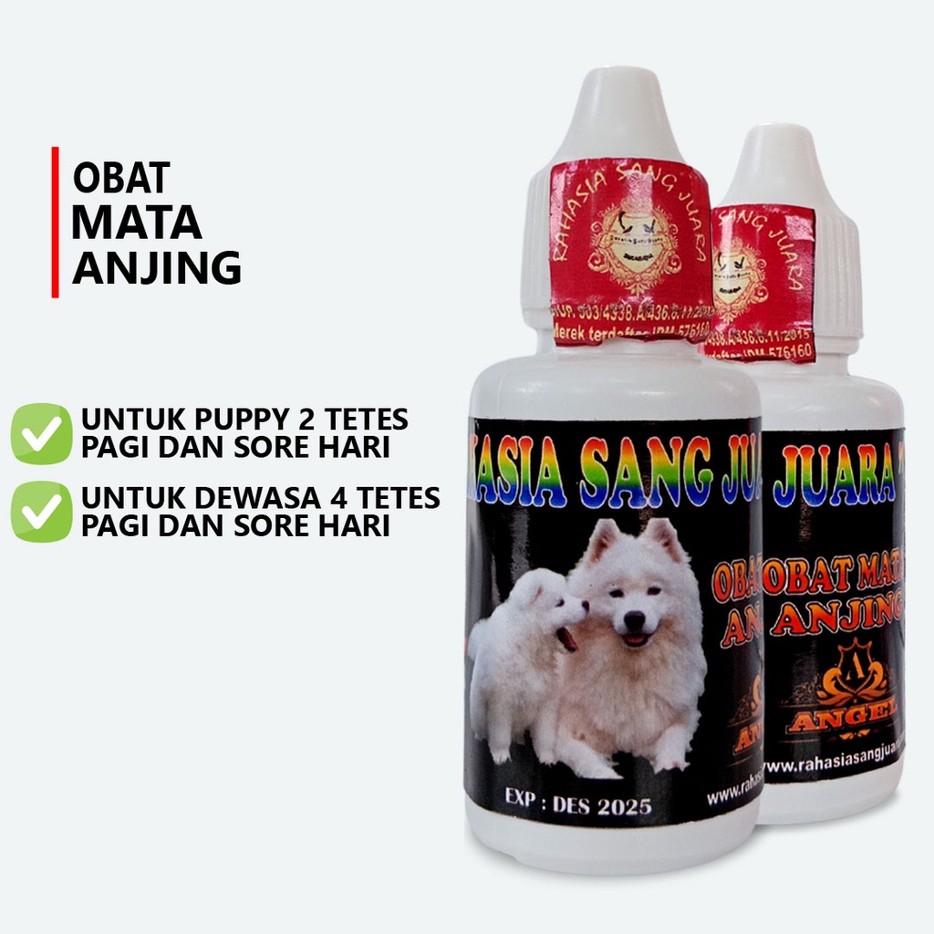 OBAT MATA ANJING BELEKAN BERAIR INFEKSI DAN KATARAK