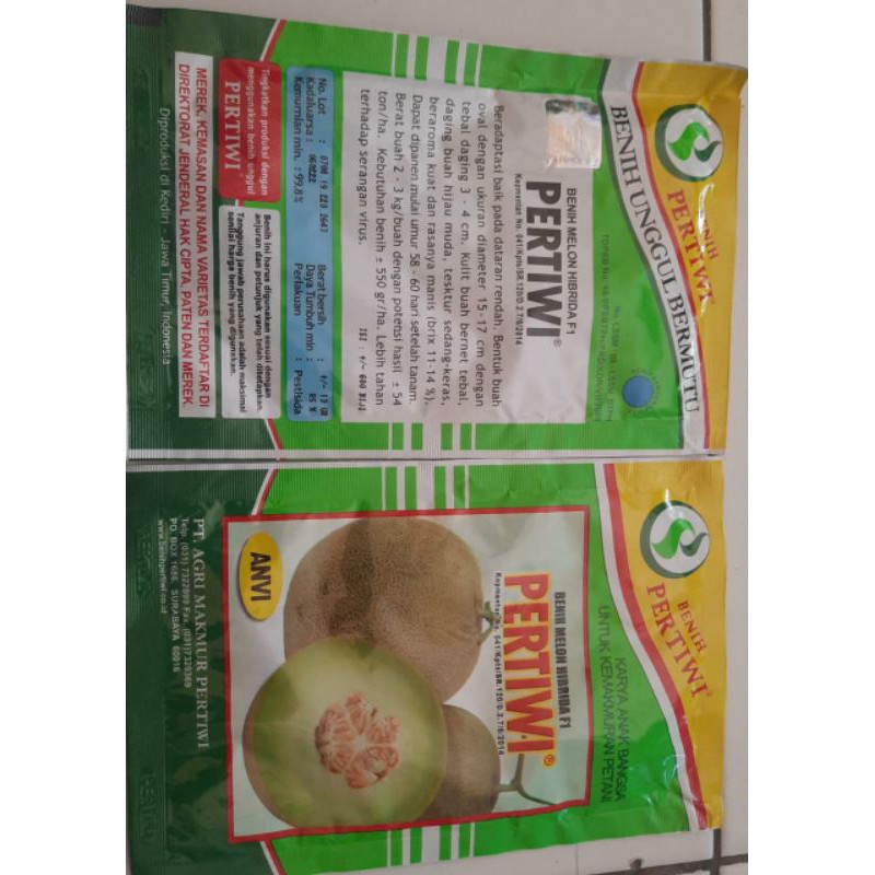 Benih melon hibrida F1 PERTIWI