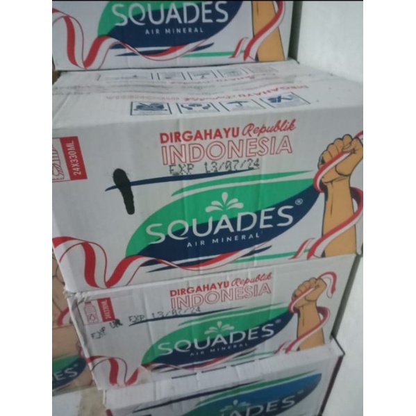 

SQUADES 330ML DUS