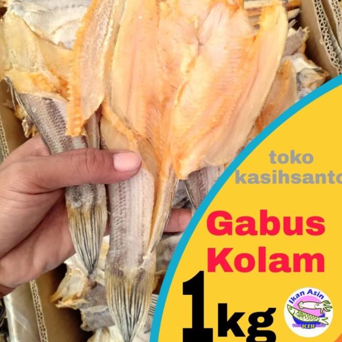 

Ikan Asin Gabus Kolam-1Kg