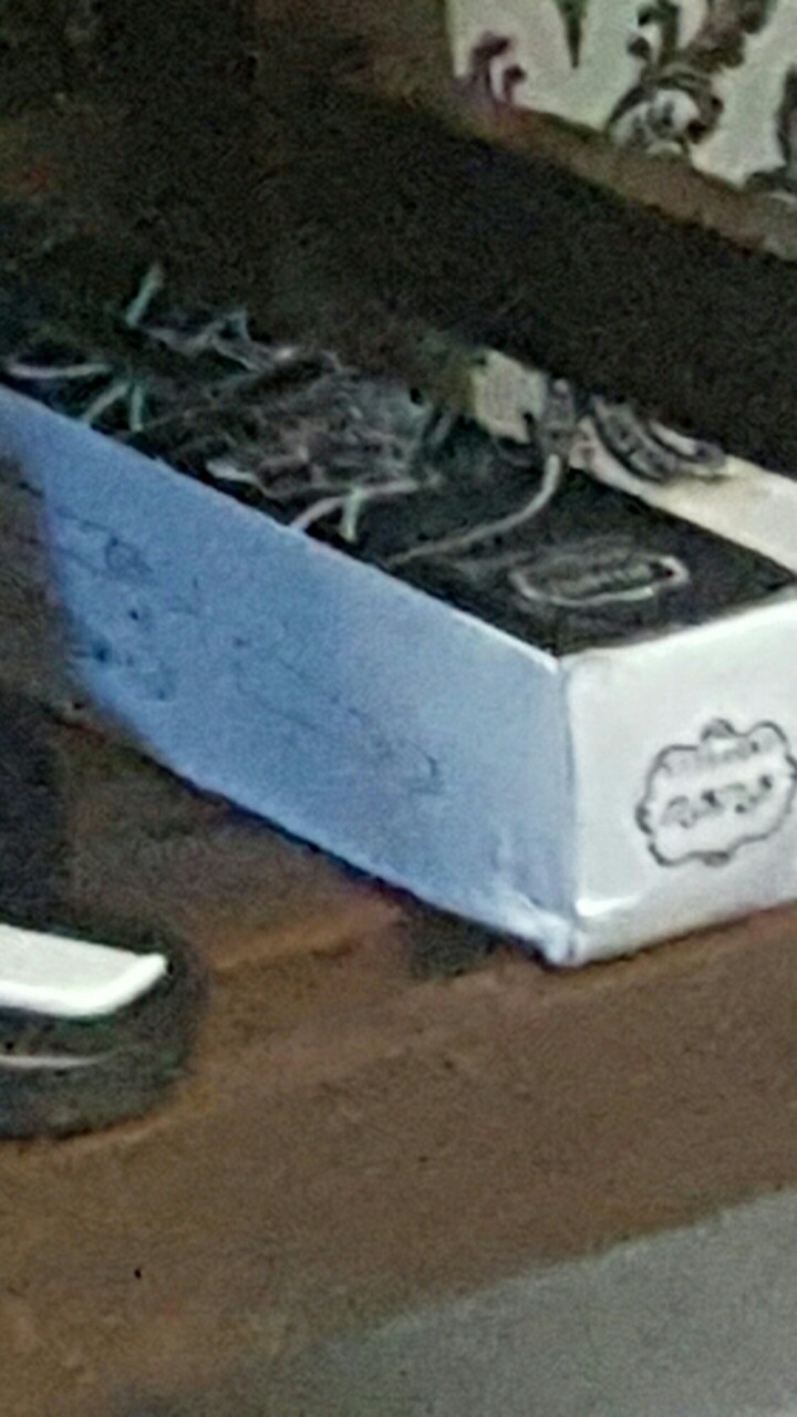 Payung Lipat / Payung Motif Bunga / Creative Rose Umbrella