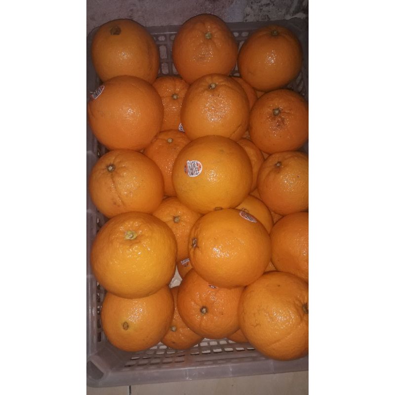 jeruk sunkist navel australia