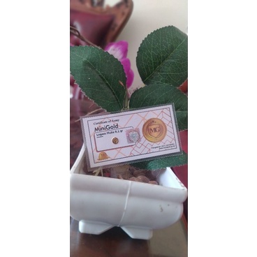 

mini gold 0.1 g