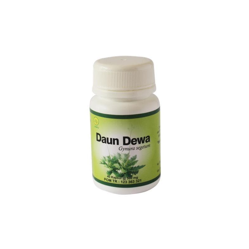 

DAUN DEWA ( Obat Herbal )