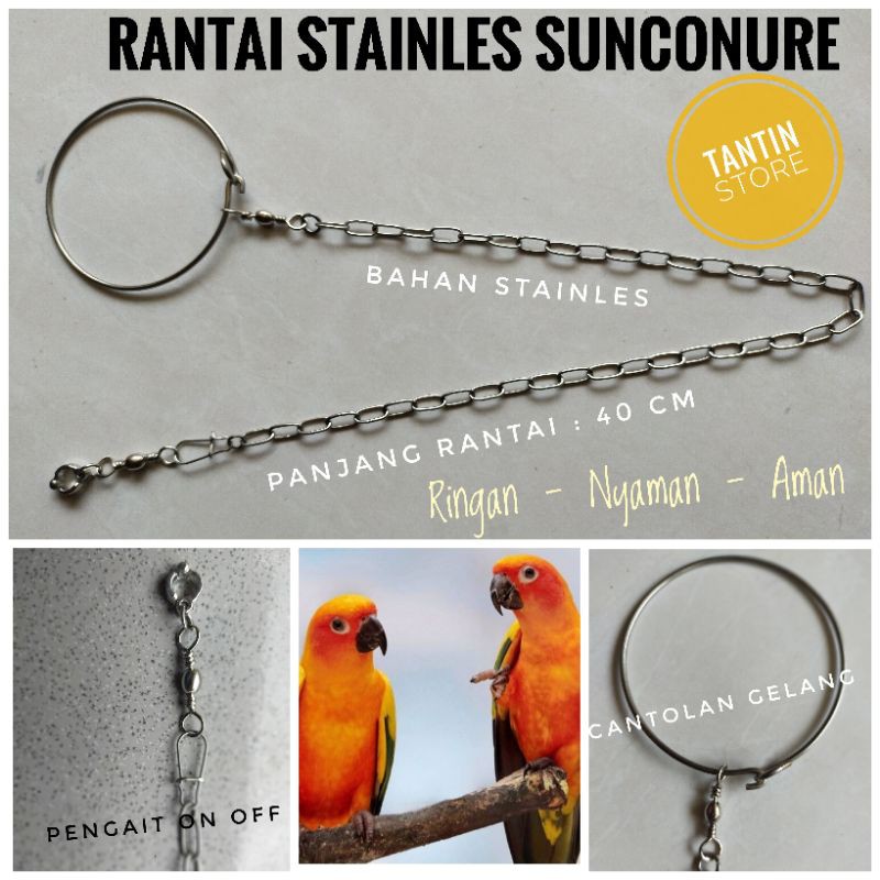 Rantai Stainles Sunconure