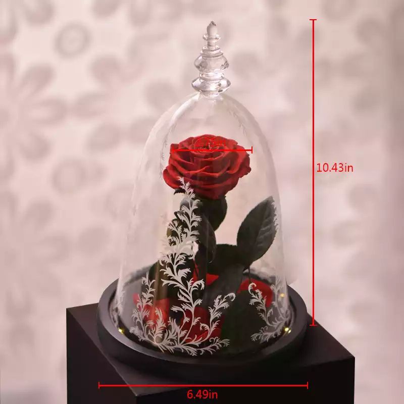 bunga beauty and the beast preserved rose impor led valentine gift hadiah anniversary