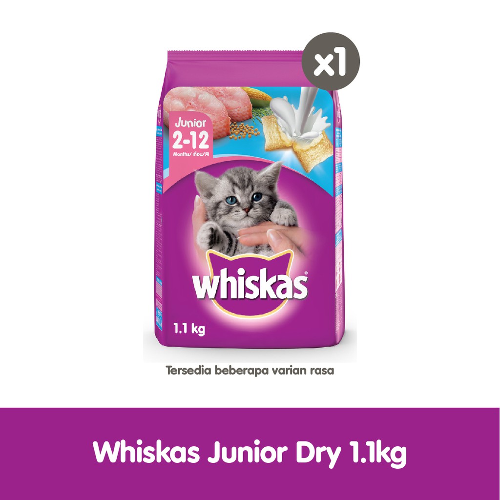 WHISKAS® Makanan Kucing Kering Junior 1.1kg