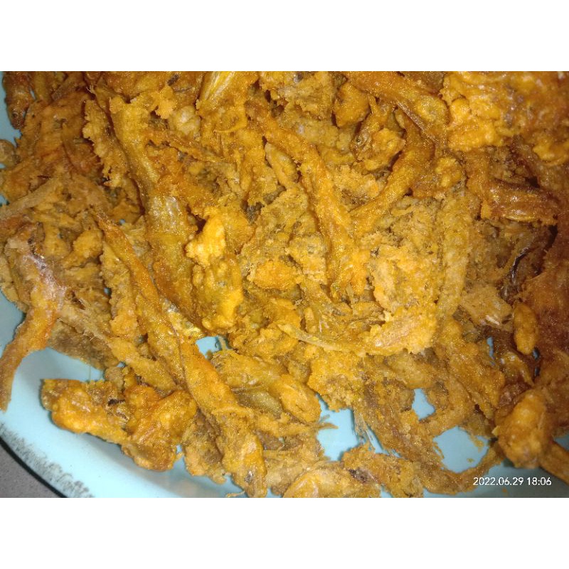 

Ikan Jlantir