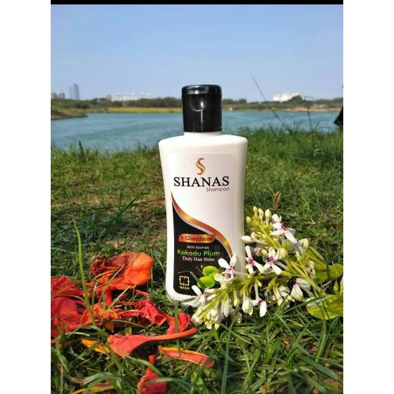 SHANAS SHAMPO PENGHITAM UBAN ANTI KETOMBE
