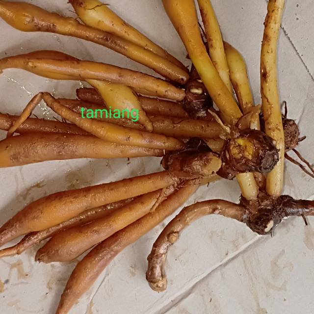 

Temu kunci fresh 1 kg