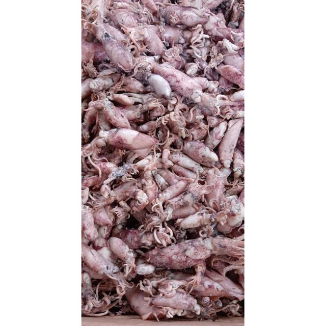 

Ikan Asin Sotong 250 gram