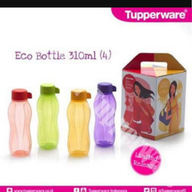 Eco Bottle 310ml(4)