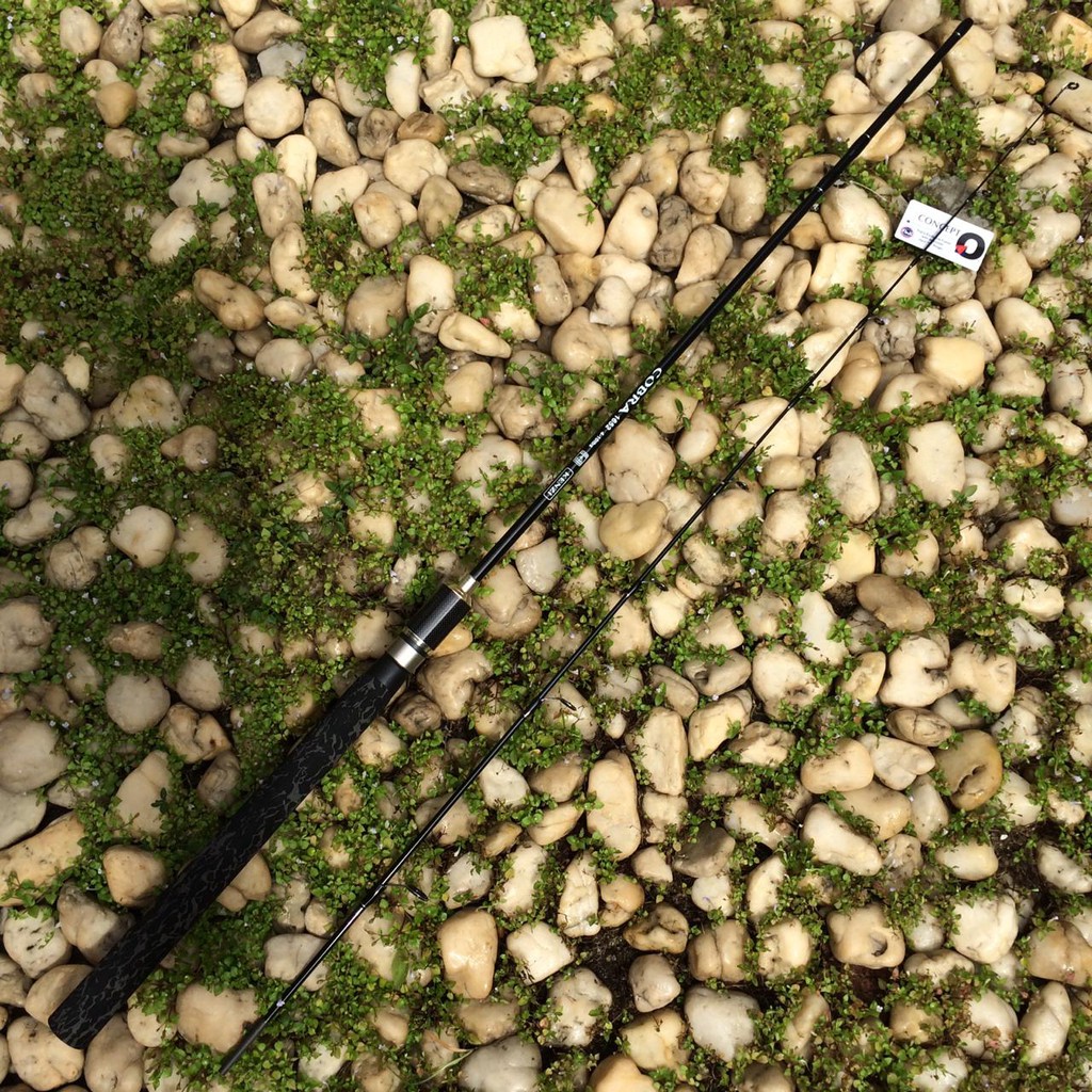 Joran Kenzi COBRA 165cm Ring Fuji