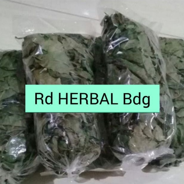 

Jual daun kopsanda herbal asam lambung paket 100gram kering