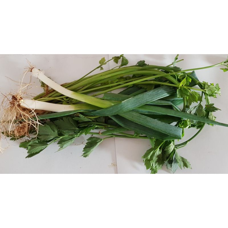

Daun bawang , Daun Seledri/seledri