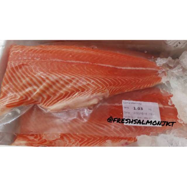 

[PO] Fresh Premium Norwegian Salmon Fillet 700-900gr Sashimi Grade