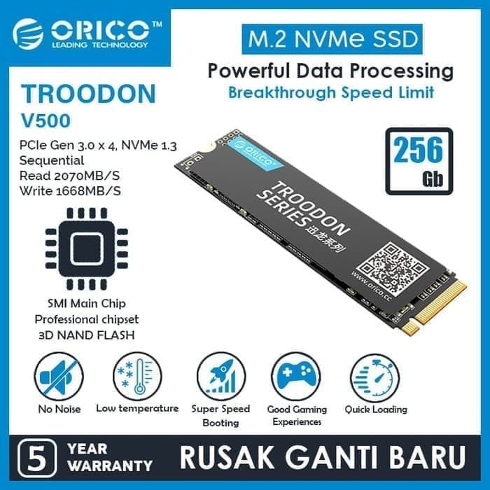 Orico V500 256GB SSD M.2 NVME SSD Troodon Series E-Sport - 256 GB - Original Orico