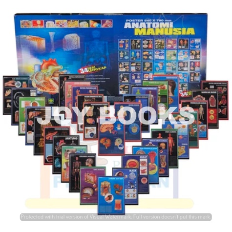 SET LENGKAP POSTER ANATOMI ORGAN TUBUH MANUSIA / KEDOKTERAN / BIOLOGI