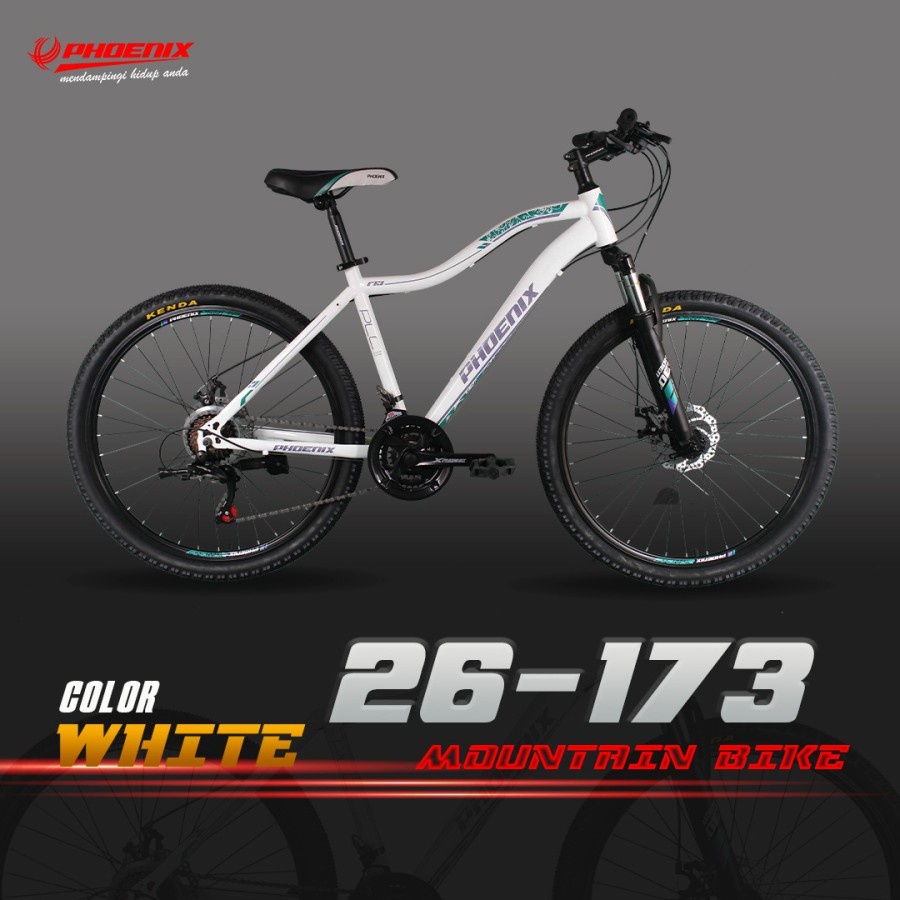 SEPEDA GUNUNG PHOENIX MTB 26-173 21 SPEED FRAME STEEL MOUNTAIN BIKE