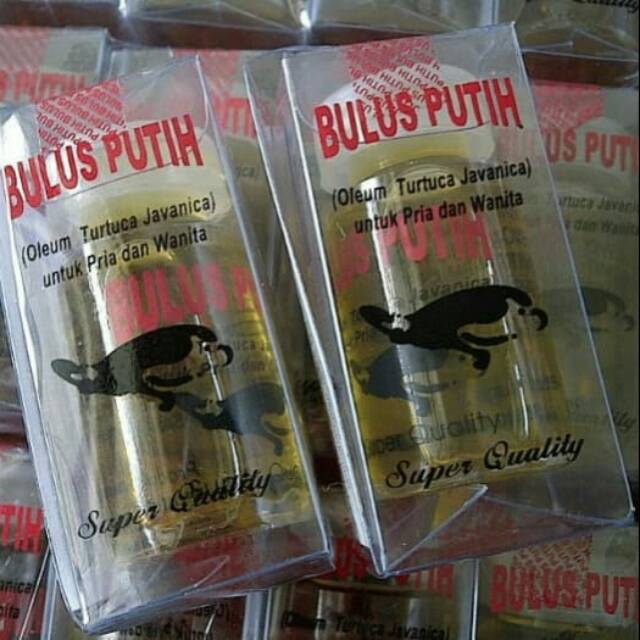 

SHERLI SHOPING - MINYAK BULUS PUTIH