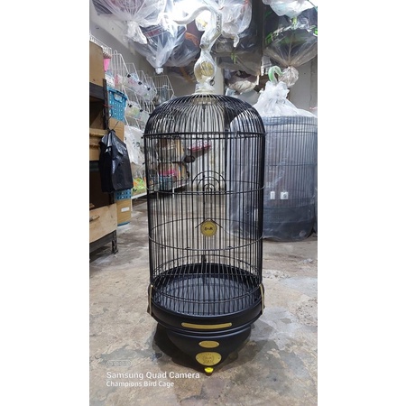 SANGKAR KANDANG LB BNR BLACK DOFF