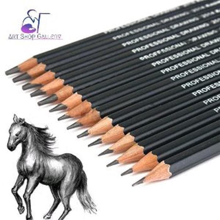 Set Pensil Sketsa Drawing Graphite Pencils Charcoal 14 Pcs