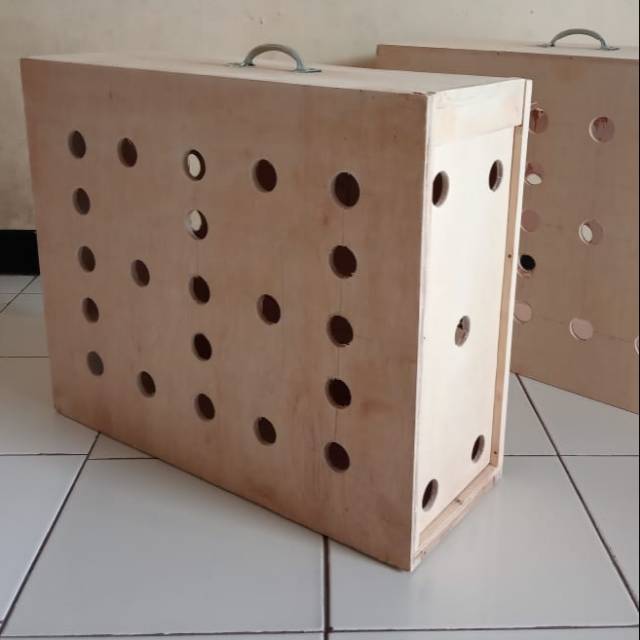 Box pengiriman Ayam Bangkok / Ayam Adu