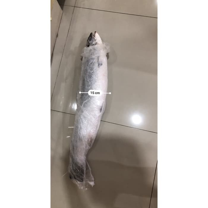 IKAN SALMON UTUH FROZEN NORWEGIAN PER EKOR