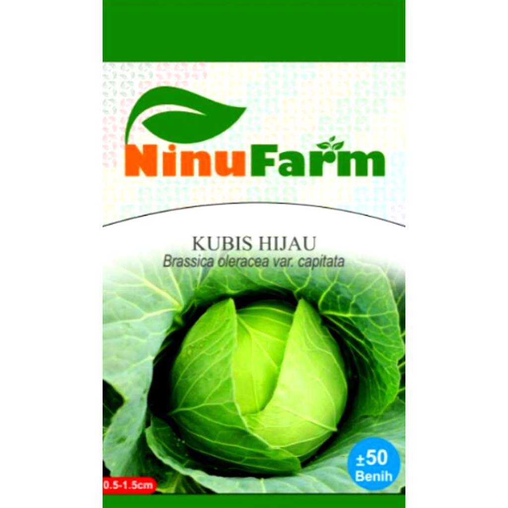 Benih Biji Kubis Hijau - Ninu Farm