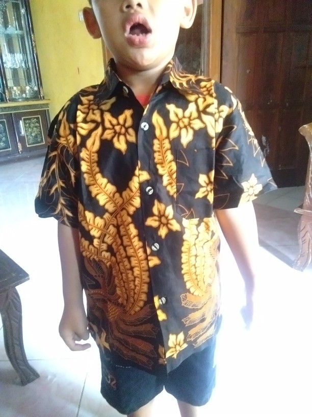 Batik Anak Cowok Umur 2~11 Tahun