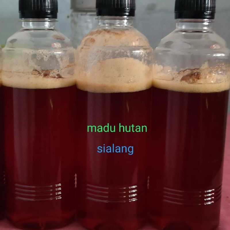

Madu Hutan Asli 100% Uang Kembali ukuran 1/2 Kg
