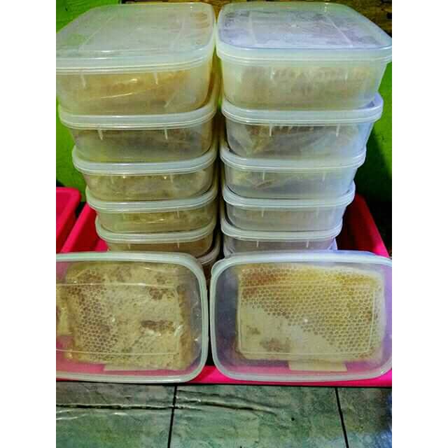 

Sarang madu asli bunga randu