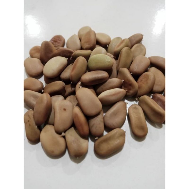 

BIJI SECANG 100 GRAM