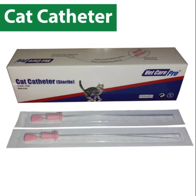 Cat Catheter non stylet 12pcs