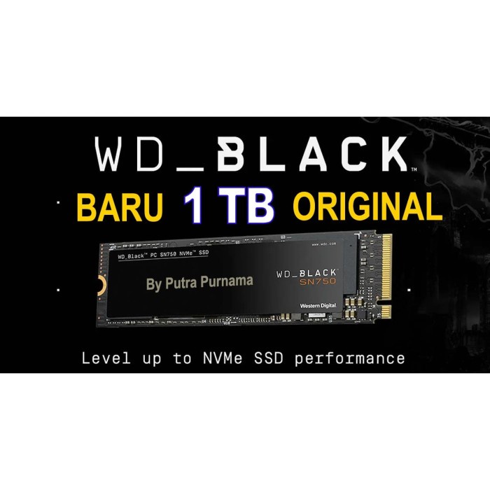 Western Digital WD Black SN750 1 TB M.2 NVMe SSD New Ori