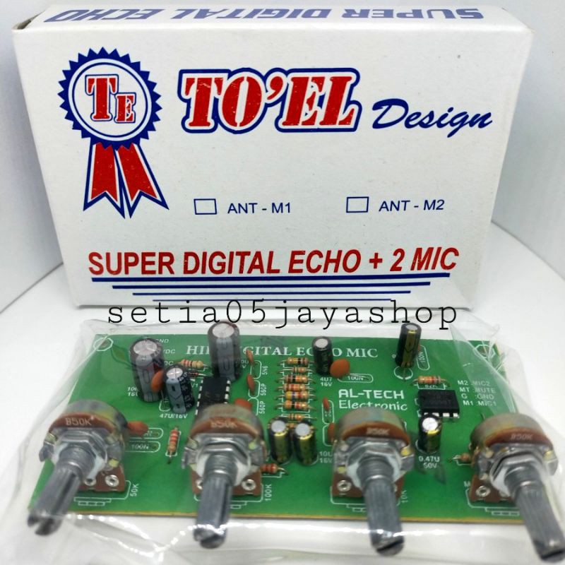 kit echo toel digital 2 MIC 4 POTENSIO