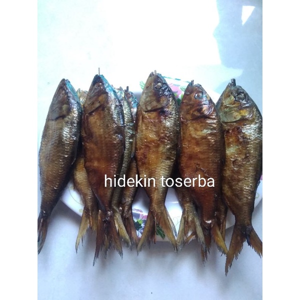 

ikan balo asap harga per ekor yaaa