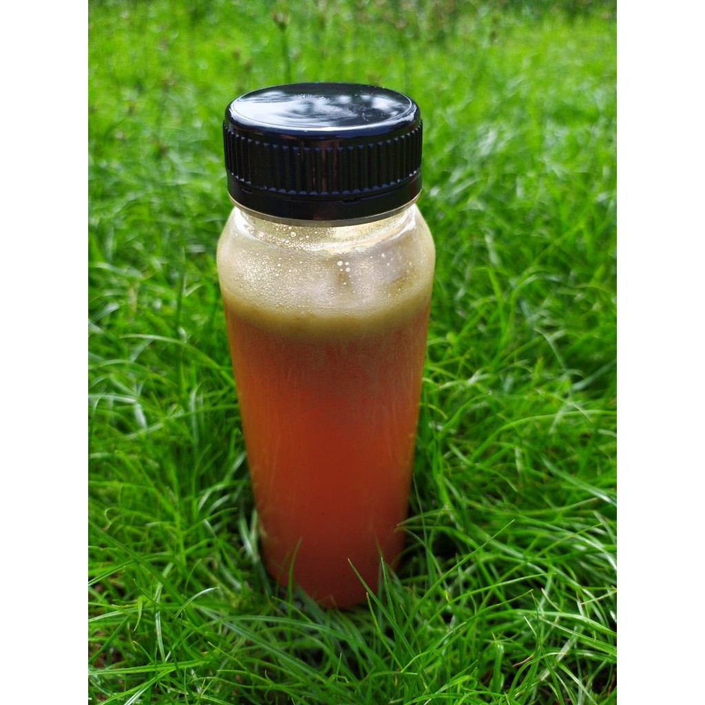

Madu Hutan Pesawaran Lampung 325 gr Botol Sase [PPH]
