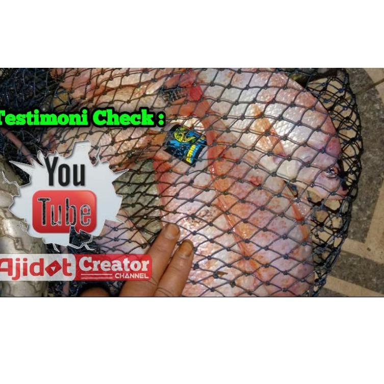 Esen Essen Esence Essence oplosan ikan Nila Dan Mujaer GEDIBAL FISHING –KRN.26Au22ᵟ