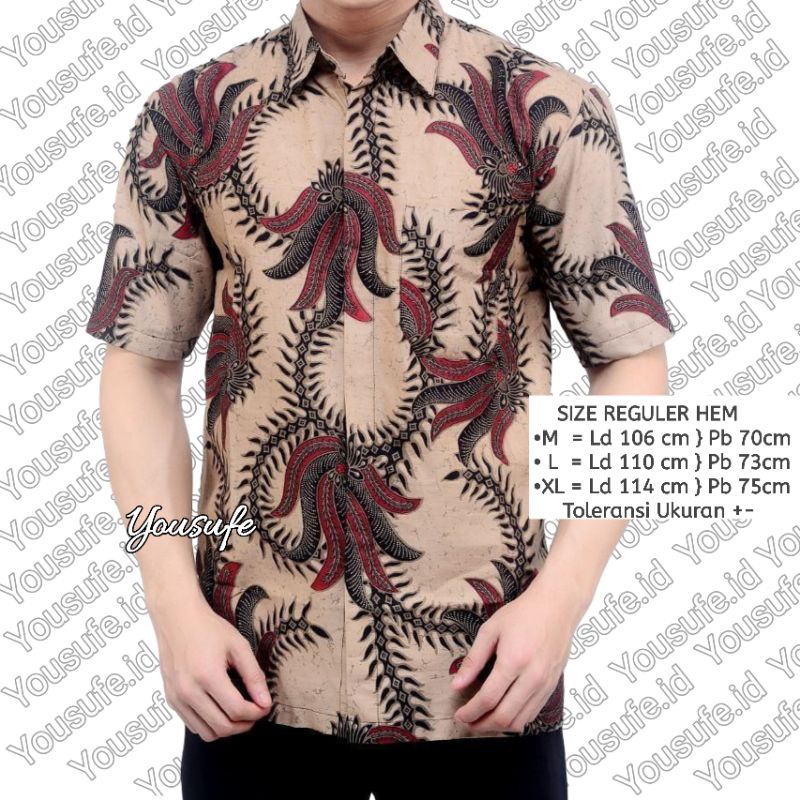 Baju Batik Pria Lengan Pendek/Batik Pria Premium/Seragam Batik Kantoran-D