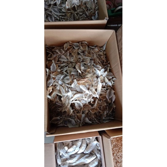 

Ikan Asin Tipis