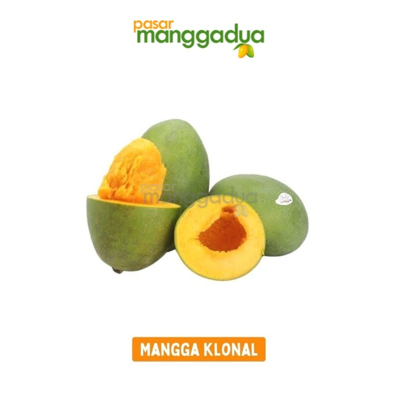 

FRESH !!! Mangga Klonal / Mangga Alpukat Per Kg / Buah Segar