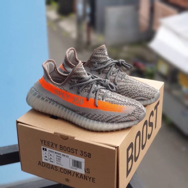 yeezy beluga 10.5