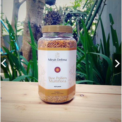 

HS Raw Bee Pollen Natures Super Food Multiflora