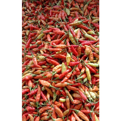 

Aneka Sayur Mayur Fresh