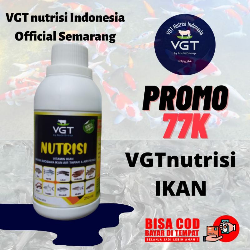 VGT Nutrisi Ikan Lele Nila Bawal Emas Patin Gurame Tawes probiotik organik vitamin perikanan kolam t