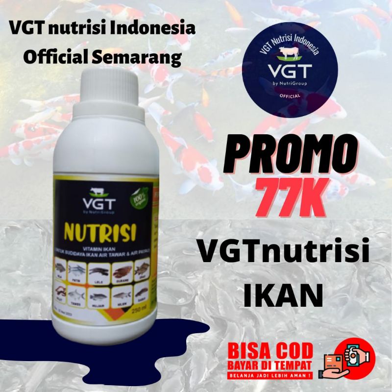 VGT Nutrisi Ikan Lele Nila Bawal Emas Patin Gurame Tawes probiotik organik vitamin perikanan kolam terpal tanah semen booster boster hormon pertumbuhan budidaya perikanan air tawar payau asin bakteri starter koi hias