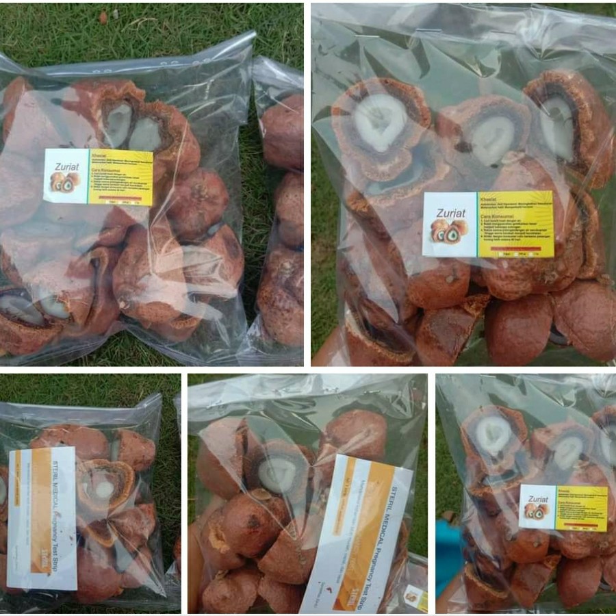 

Buah zuriat