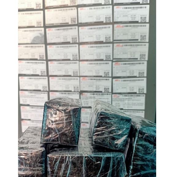 GM essen KACANG ikan bawal media kacang "SMG.27Jn22υ"